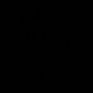 Meet your Posher, Carly